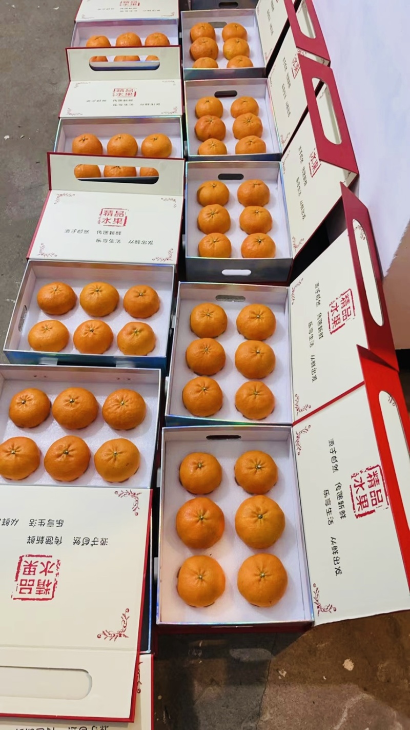 东海南田岛，海岛柑橘甜度，品相完美，口感非常好