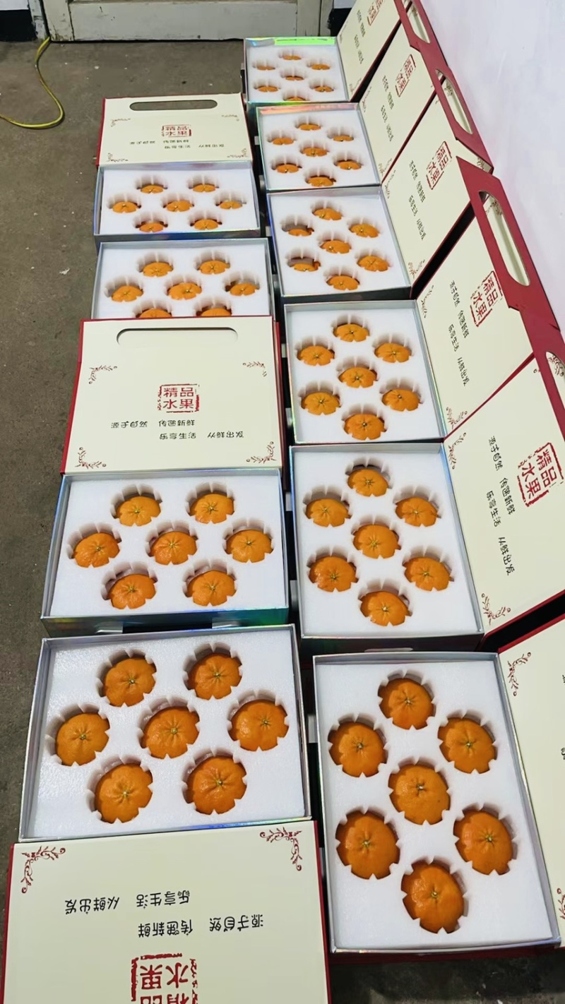 东海南田岛，海岛柑橘甜度，品相完美，口感非常好