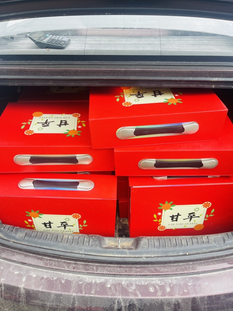 东海南田岛，海岛柑橘甜度，品相完美，口感非常好