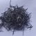 高黎贡山云雾茶自家茶园欢迎联系各品质都有价格可商量