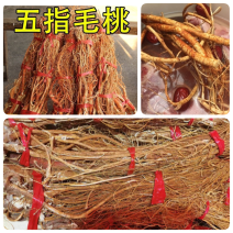 五指毛桃干展会地摊电商新鲜五指毛桃干牛奶根煲汤毛桃干