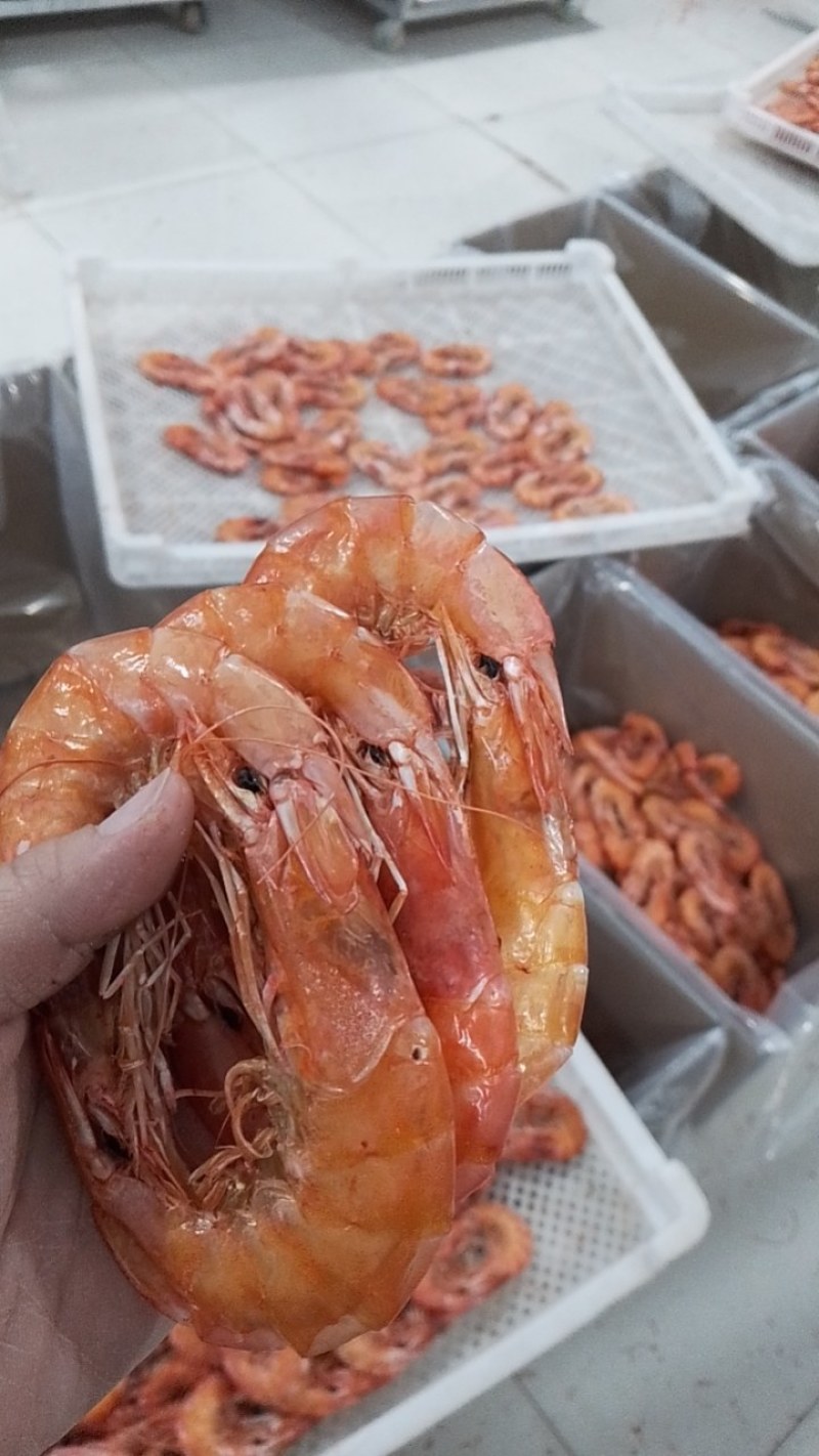 干虾烤虾淡干淡盐口味独特大量有货对接商超全国供应