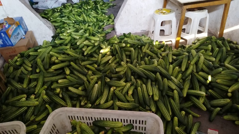 水果黄瓜