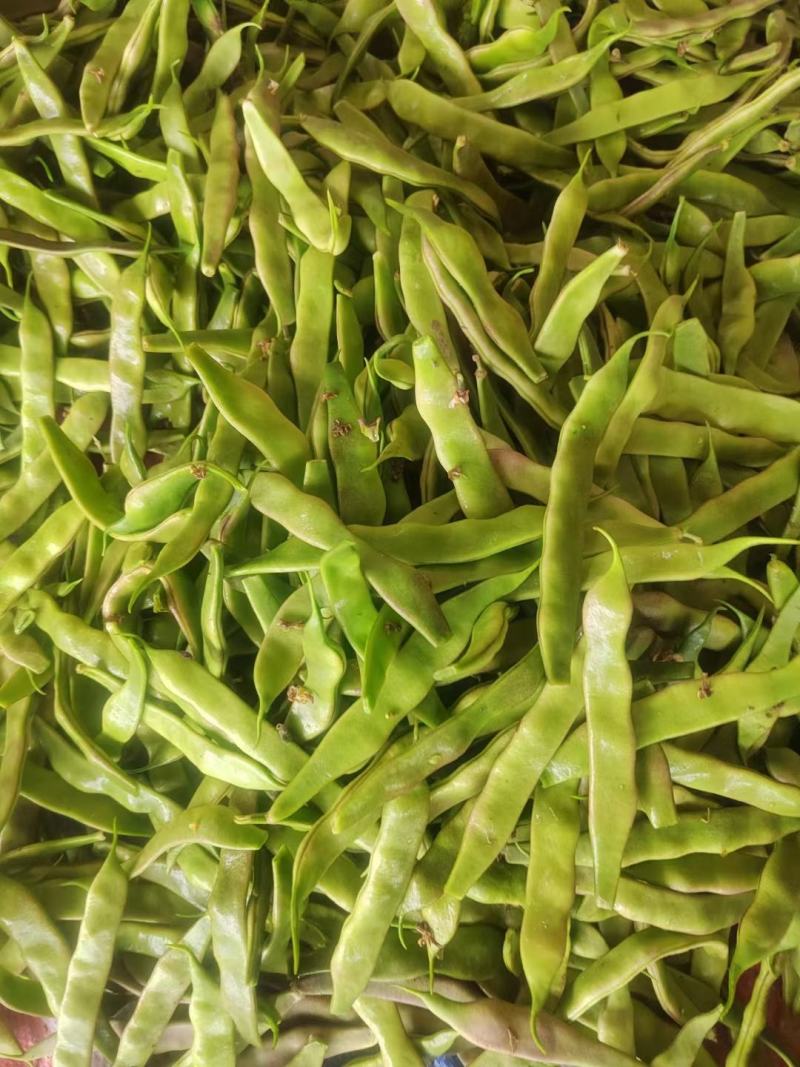 油豆