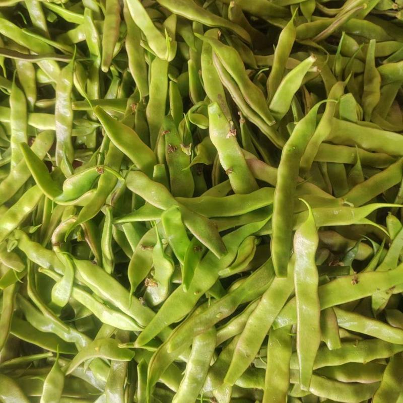 油豆