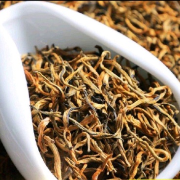 滇红古树2023新茶红茶云南滇红古树红茶散装茶叶批发