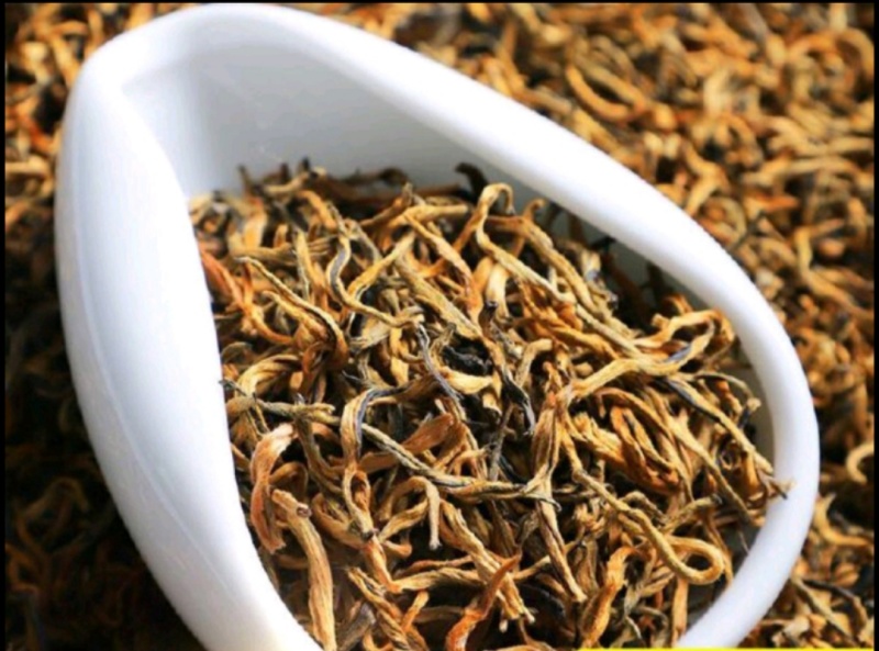 滇红古树2023新茶红茶云南滇红古树红茶散装茶叶批发
