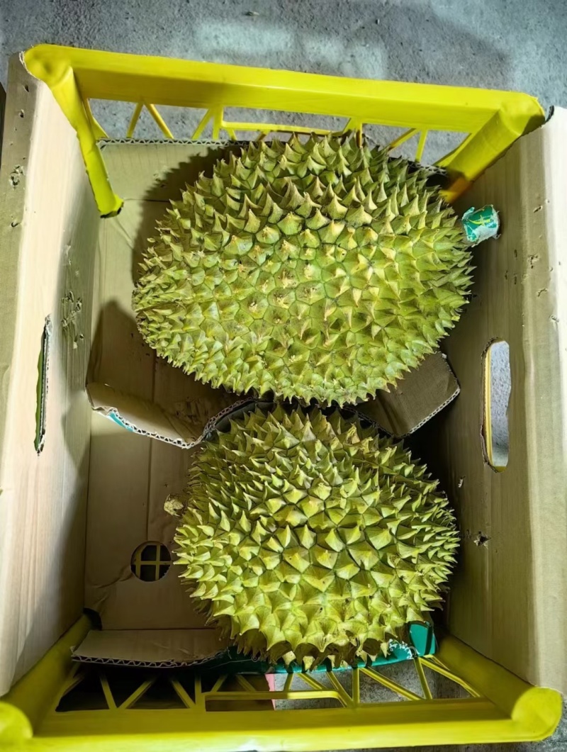 低价干尧