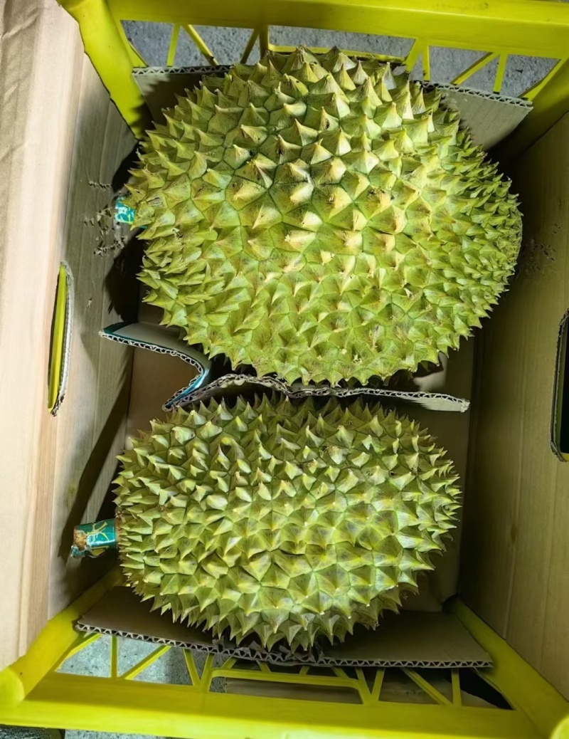 低价干尧