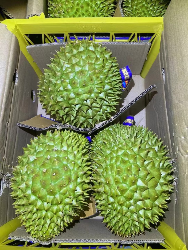 低价干尧
