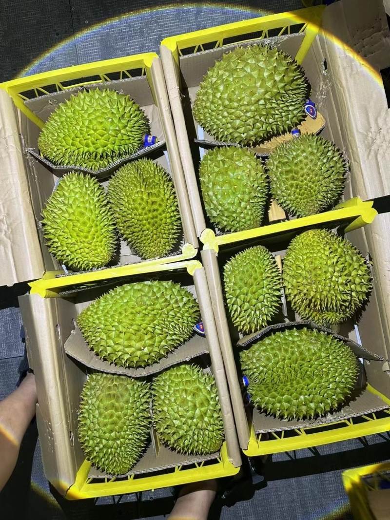 低价干尧
