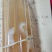 杏鲍菇母种，pDA培养基，18mmx180㎜试管母种！