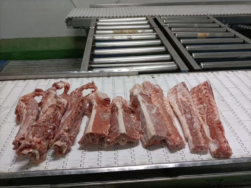 实验室人员正在进行羊肉样品剪切力检测