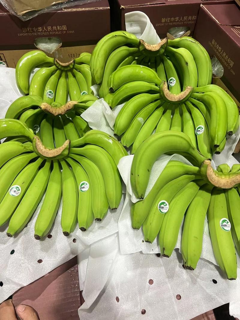 国产精品香蕉产地直发保质保量全国发货