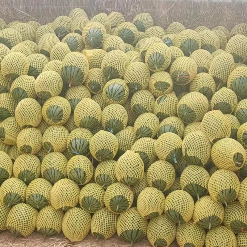 蒲城吊兰西瓜，全美2k西瓜，吊篮西瓜，手剥小西瓜