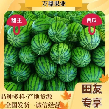 陕西甜王西瓜,蒲城甜王西瓜直播苗甜王西瓜,甜王西瓜