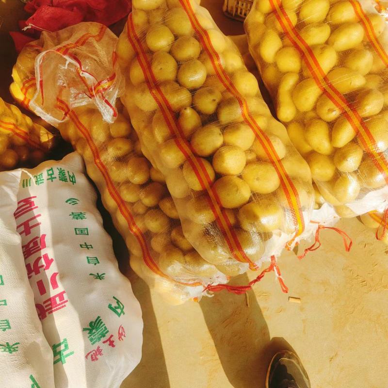 【推荐】山东肥城/平阴精品土豆荷兰十五土豆马铃薯
