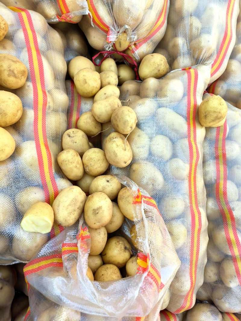 【推荐】山东肥城/平阴精品土豆荷兰十五土豆马铃薯