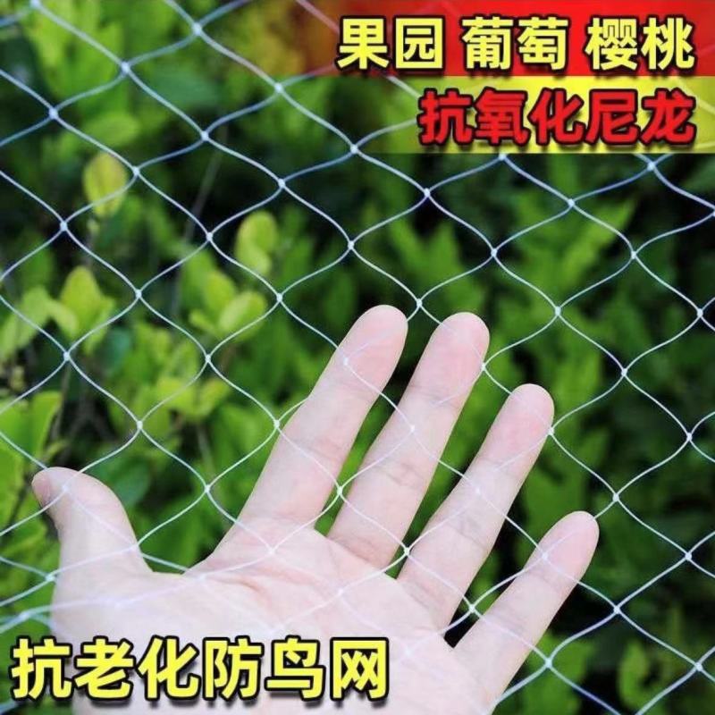 全新料防鸟网鱼塘大棚防护天网尼龙网养殖网葡萄樱桃果园农用