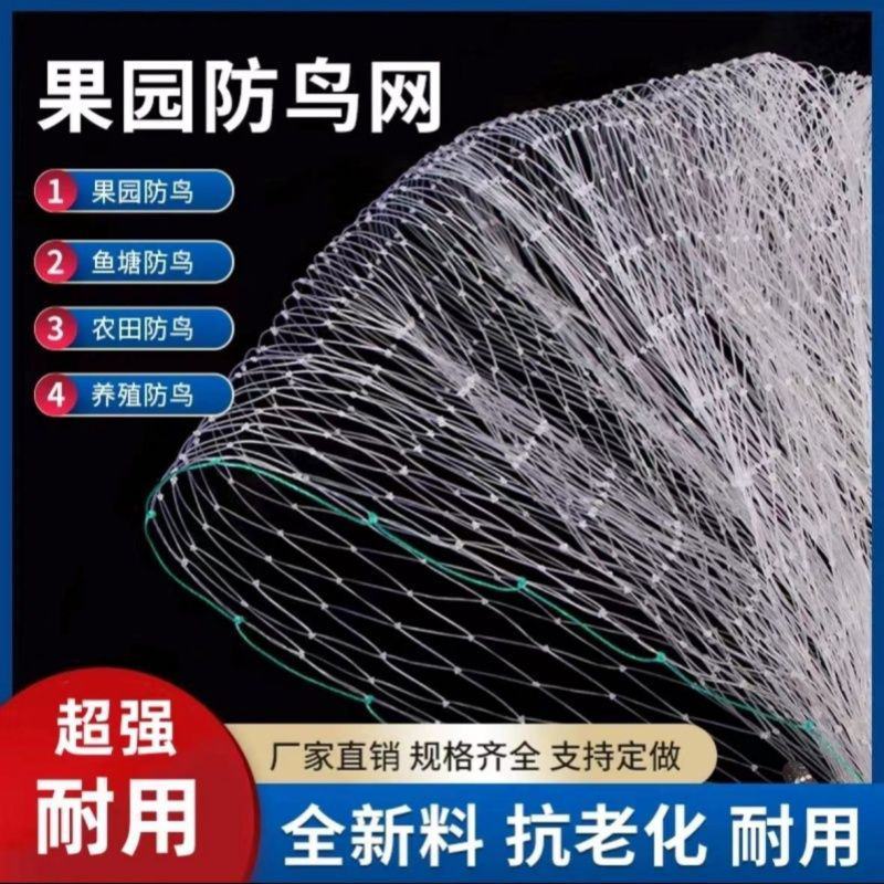 全新料防鸟网鱼塘大棚防护天网尼龙网养殖网葡萄樱桃果园农用