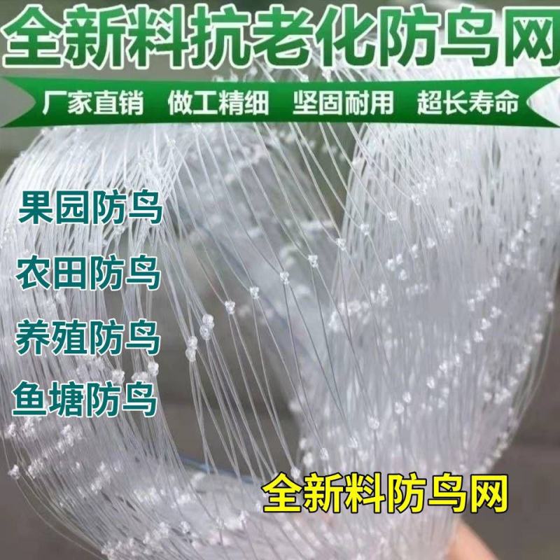 全新料防鸟网鱼塘大棚防护天网尼龙网养殖网葡萄樱桃果园农用
