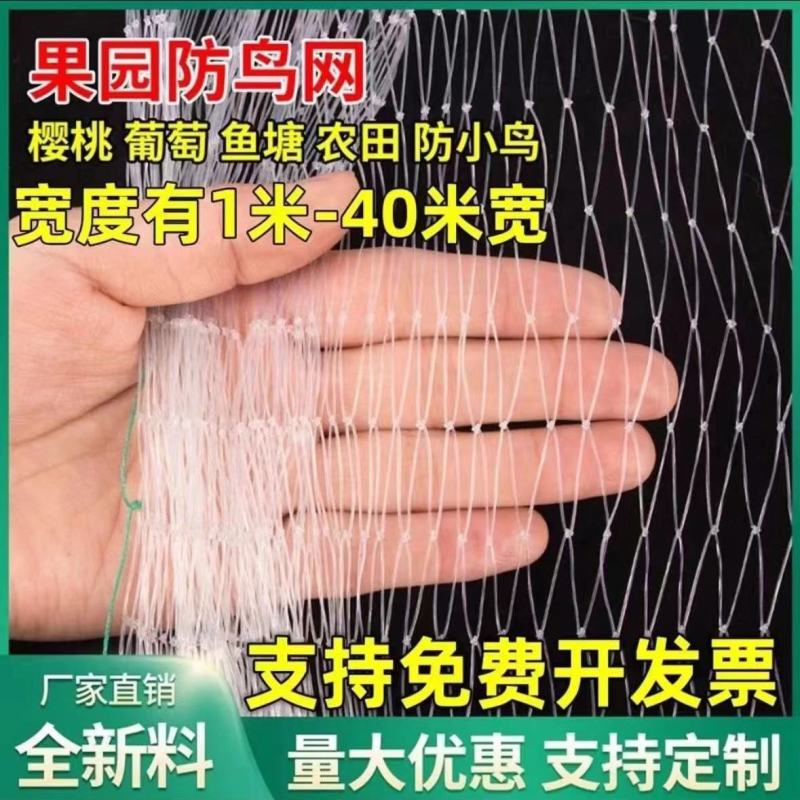 全新料防鸟网鱼塘大棚防护天网尼龙网养殖网葡萄樱桃果园农用