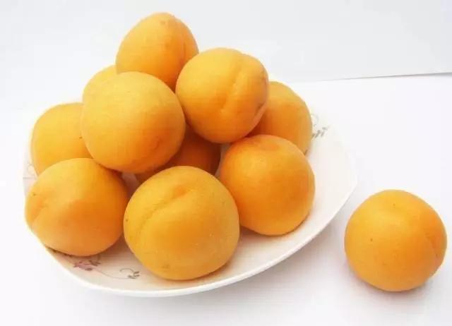 光中杏果实特写
