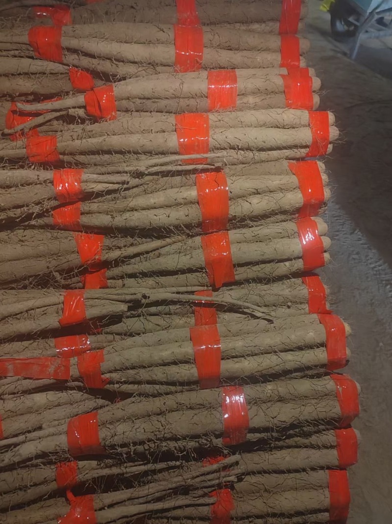 山东聊城莘县白玉山药，热销商超品质，源头直采，欢迎咨询。