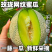 【现货速发】海南玫珑瓜8.5斤单果900g起网纹瓜蜜包邮