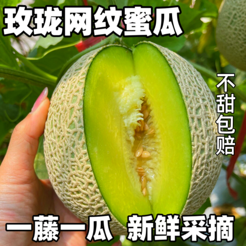【现货速发】海南玫珑瓜8.5斤单果900g起网纹瓜蜜包邮