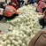 白沙蜜甜瓜，冰糖脆梨可以带皮吃的甜瓜，代发全国