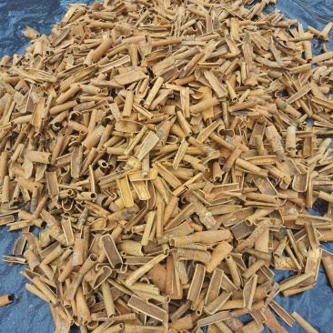精品玉桂，大量有货，产地直销,欢迎新老客户选购