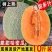 【甜蜜多汁】海南哈密瓜孕妇新鲜水果玫珑瓜西州蜜瓜网纹瓜批