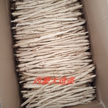 北沙参干大选条人工栽培