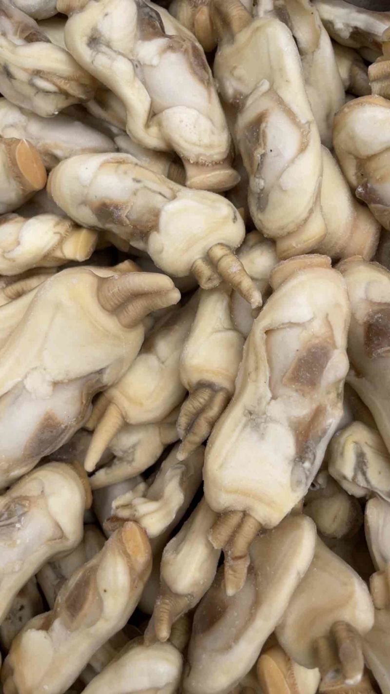 蛏子肉双头蛏蛏王肉美人蛏江苏海鲜水产批发