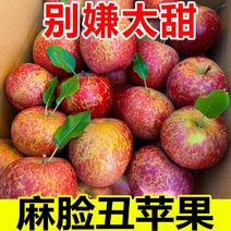 【麻脸爆甜】丑苹果新鲜水果冰糖心红富士苹果应季整箱批发孕