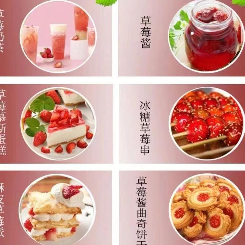 山东潍坊产区新鲜草莓大量现货对接全国各地客商前来洽谈合作