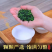 特级铁观音招牌茶，2026新茶，茶农直邮，亏本打市场