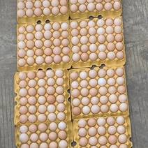 鸡蛋净重45