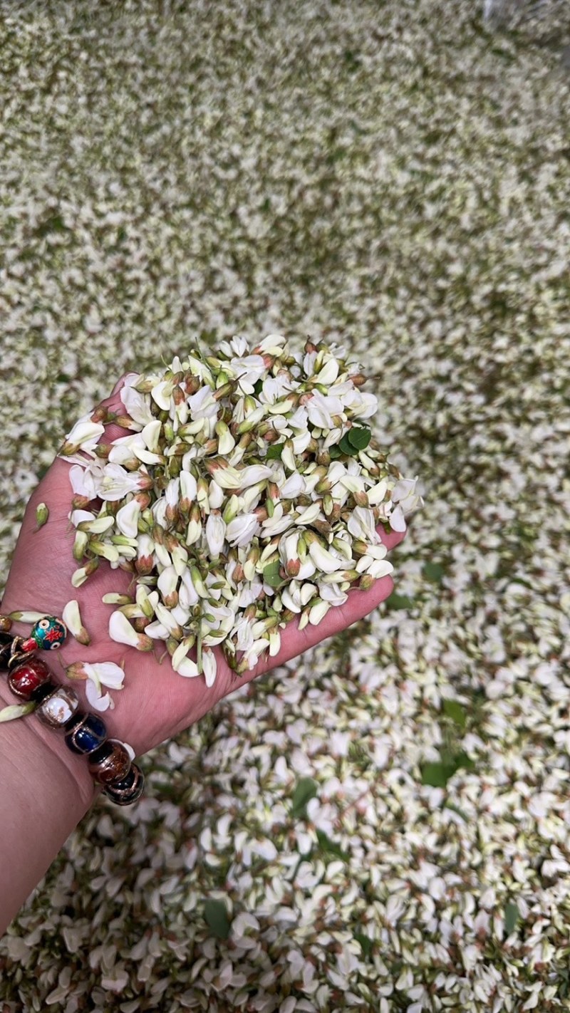 洋槐花