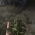 穿心莲收购中