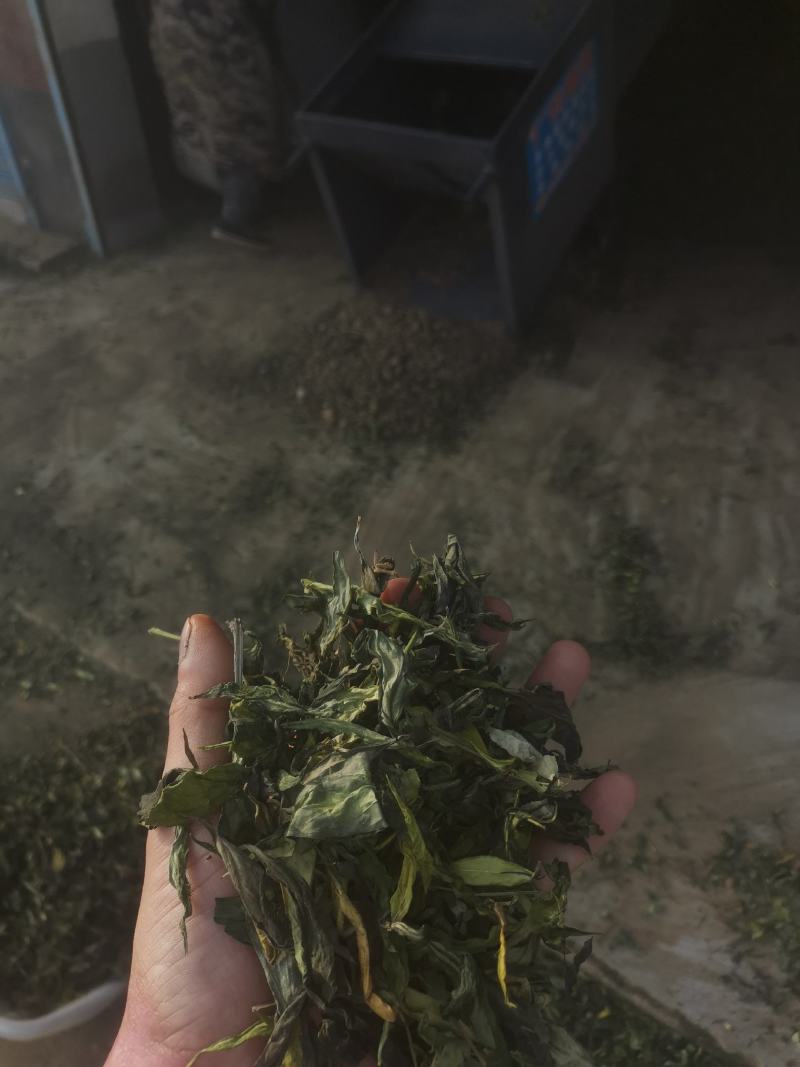 穿心莲收购中