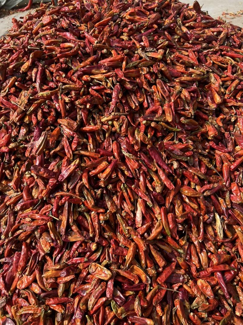 朝天椒二红辣椒，市场零售，打粉都可以。干度9.5以上