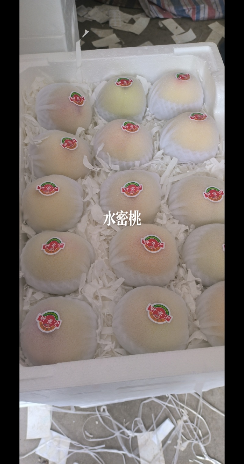 水密桃