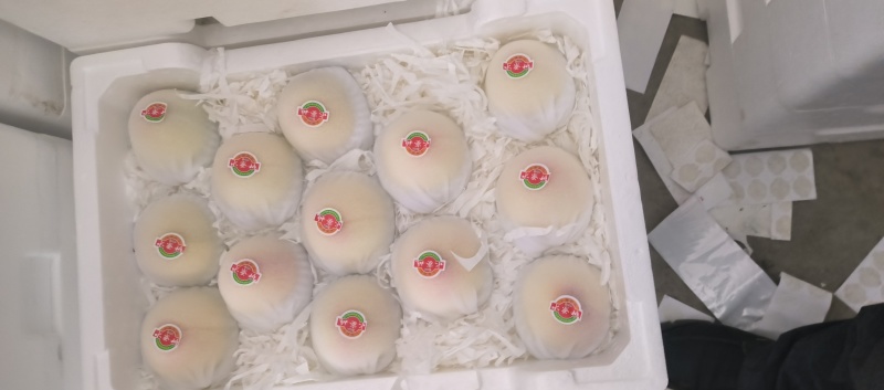 水密桃
