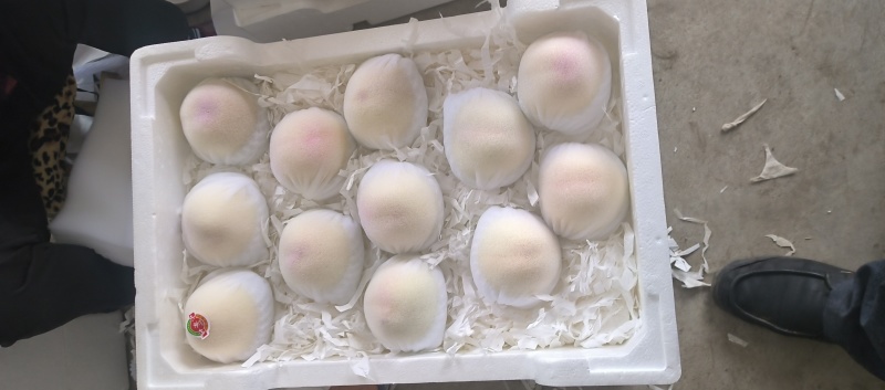 水密桃