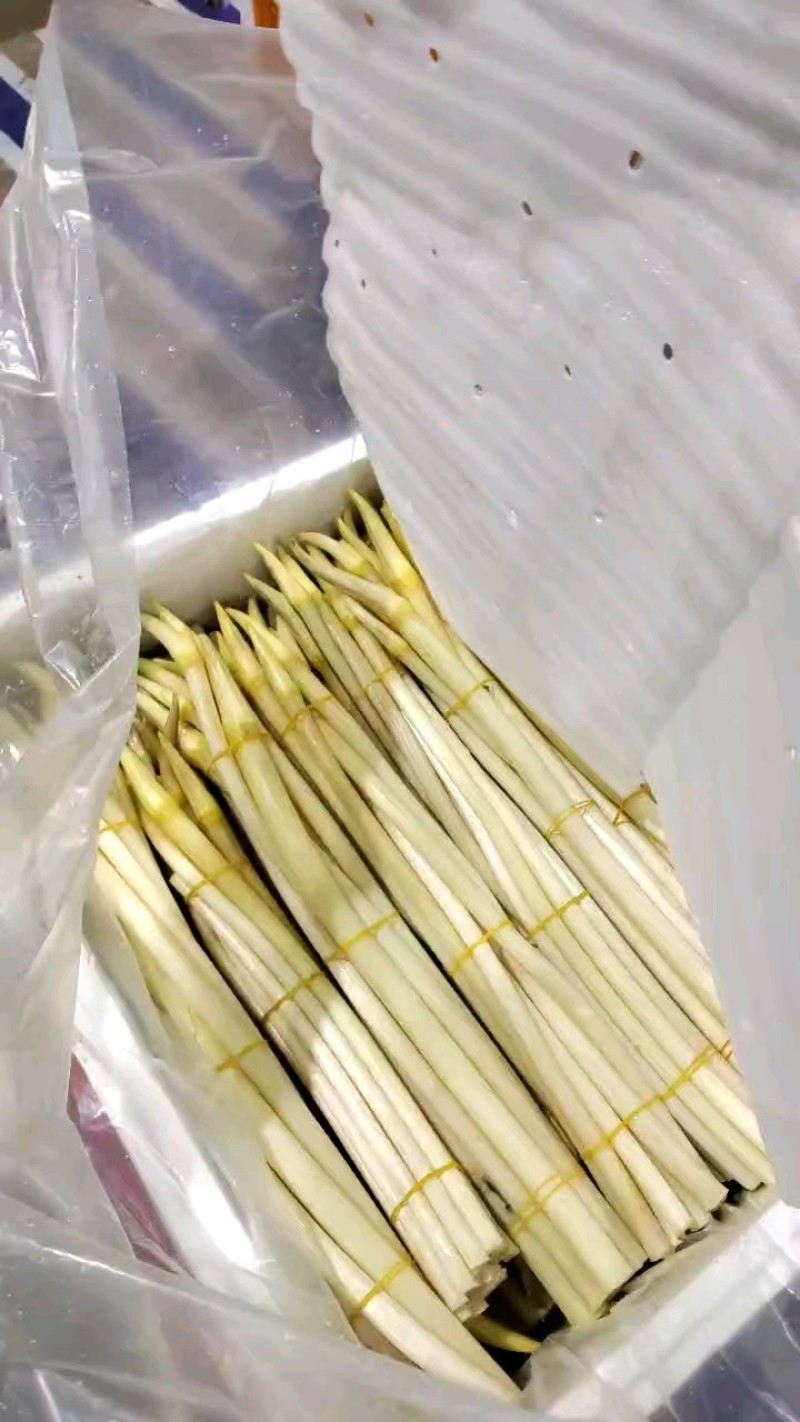 藕带