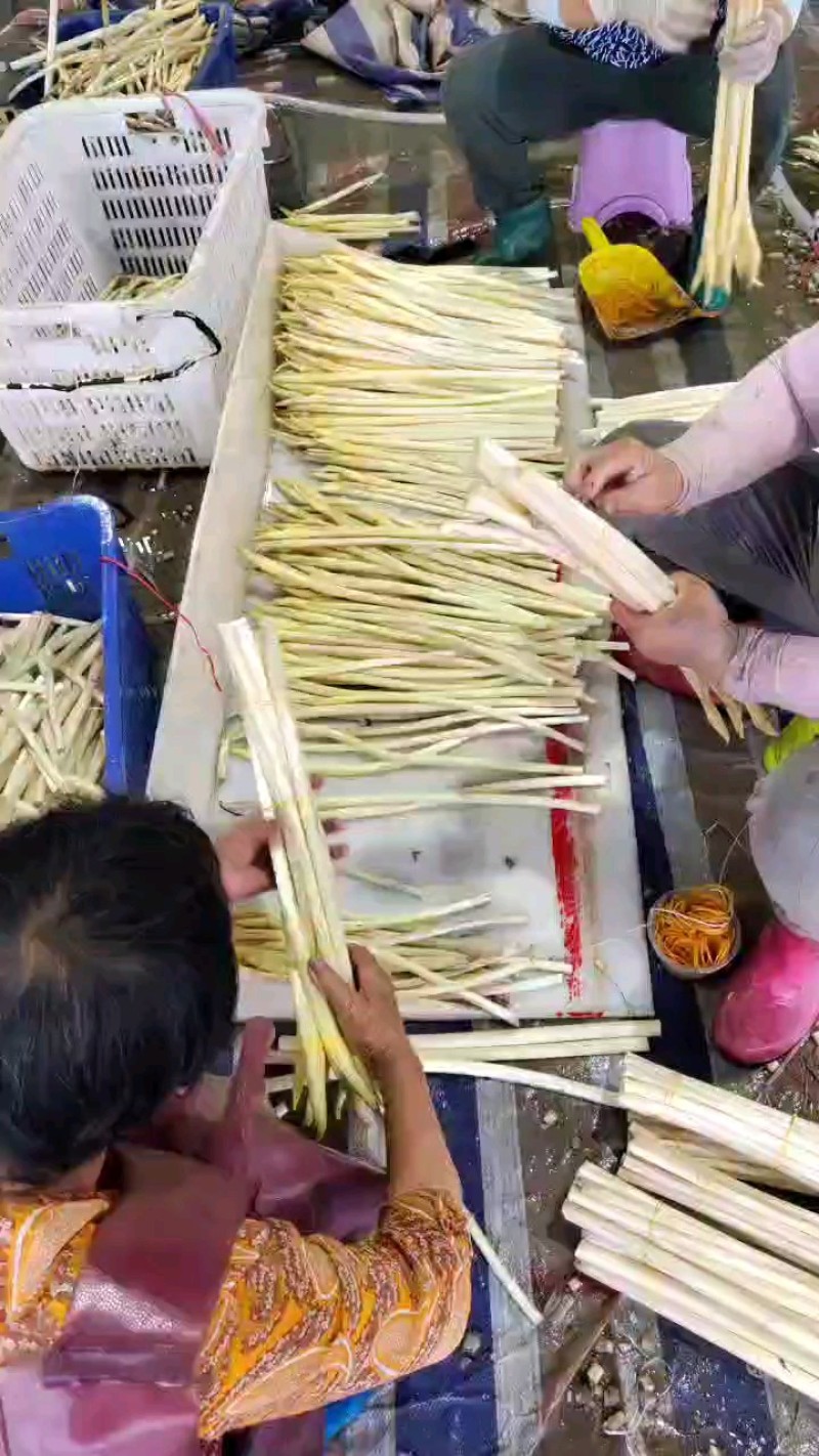 藕带