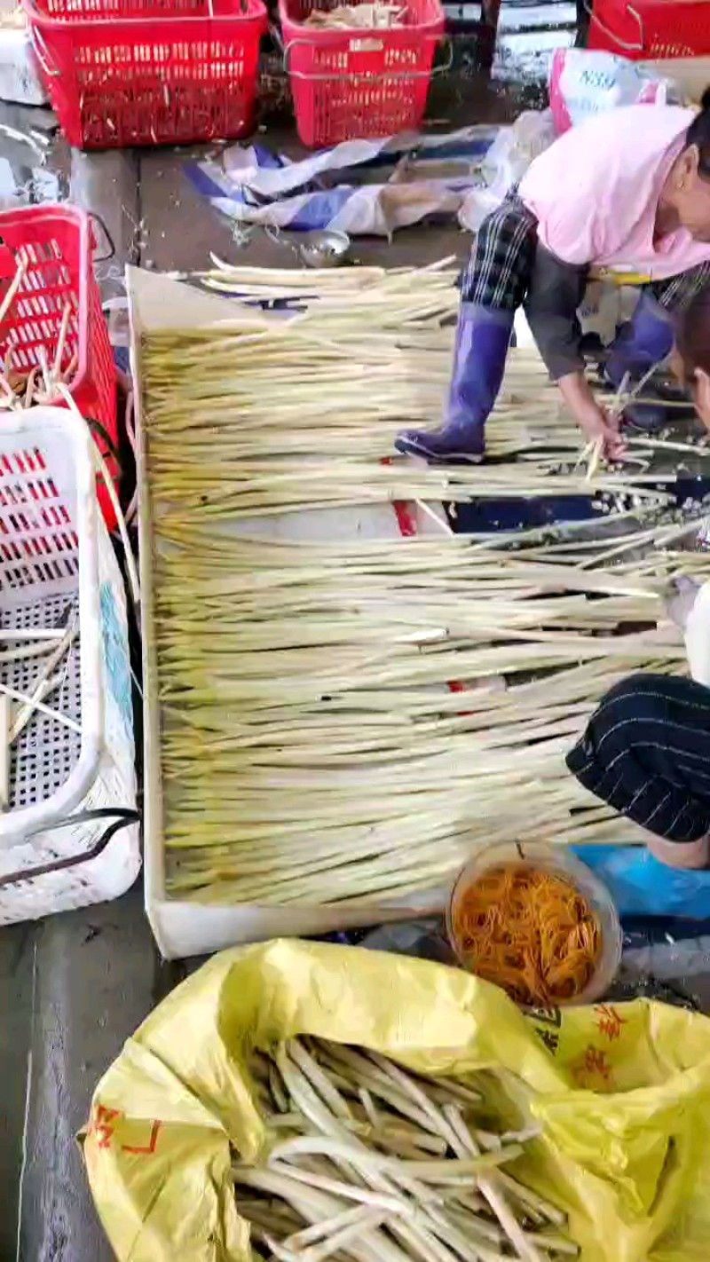 藕带