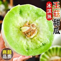 山东产区玉菇甜瓜大量现货对接全国各地商超市场餐饮连锁店等